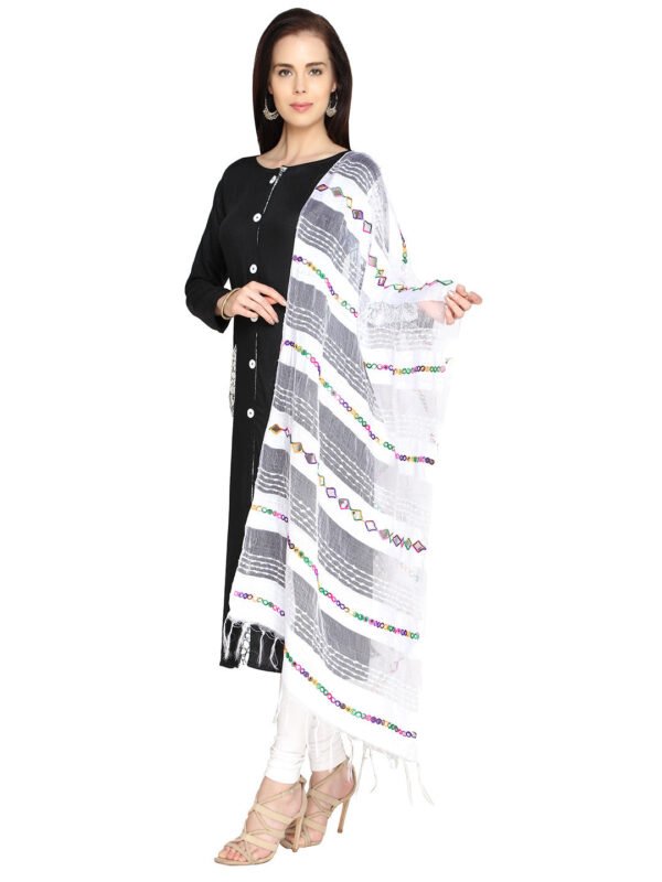 Organza Mirrorwork & Emroidered Dupatta