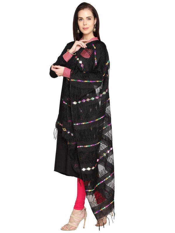 Organza Mirrorwork & Emroidered Dupatta