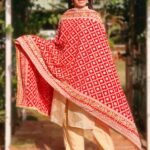 Red Georgette Lucknowi Work dupatta with Gotta Patti Work