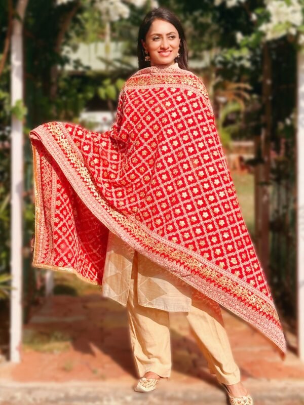 Red Georgette Lucknowi Work dupatta with Gotta Patti Work